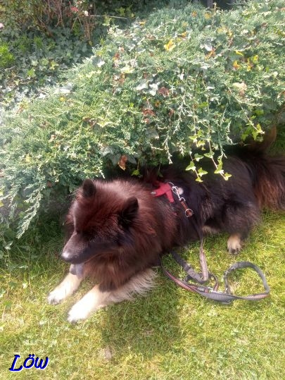 23.8.2025 - Gartenliege